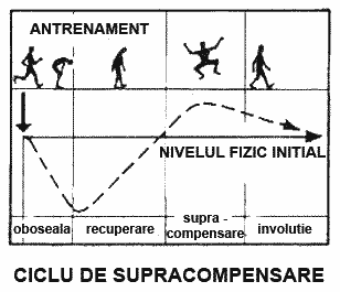 Ciclul de supracompensare