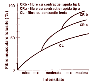 Frecventa antrenamentelor